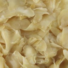 Ingwer, eingelegt, gelb, aus Japan, 1,6 kg