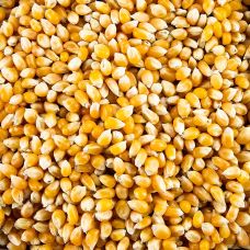 Popcorn Mais, BIO, 1 kg