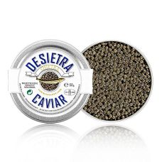 Desietra Osietra Kaviar (Acipenser gueldenstaedtii), Aquakultur Deutschland, 50 g