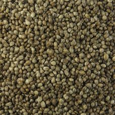 Hanfsamen, ungeschält, ungeröstet, BIO, 1 kg