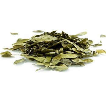 Curryblätter, getrocknet,  BIO, 100 g