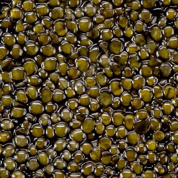 Selection Ossetra Kaviar (Acipenser gueldenstaedtii), 30 g