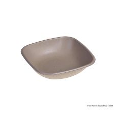 Einweg Naturesse Take Away Bowle (Schale) quad., 17x17x4cm, 500ml, 500 St