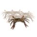 Soft Shell Mangroven Krabben,  Paitoon, TK, 1 kg, 14 St