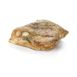 Sous-vide Iberico Secreto, foodVAC, TK, 220 g