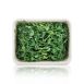 vollgepackt Microgreens Erbsen, ganz junge Blätter / Keimlinge, 100 g