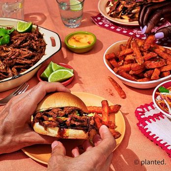 planted.pulled BBQ, vegan, Sonnenblumen-, Hafer- & Erbsenbasis, TK, 2 kg