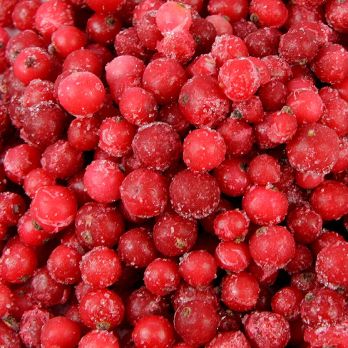 Rote Johannisbeeren, TK, 2,5 kg
