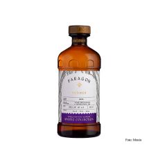 Paragon Vetiver, Monin, 485 ml