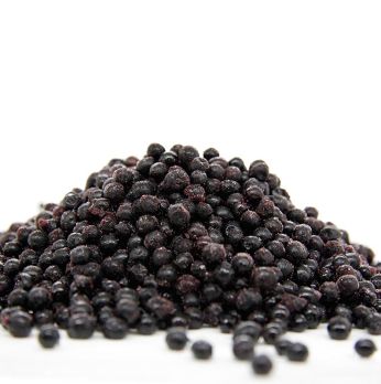 Holunderbeeren, ganz, TK, 1 kg