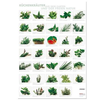 Port Culinaire - Küchenposter Küchenkräuter (59,4 x 84cm), 1 St