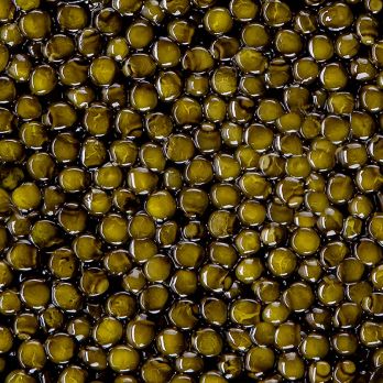 BOS FOOD Premium Selection - Kreuzung Amur x Kaluga Stör (schrenckii x dau), China, 125 g