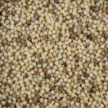Morelli 1860 Fregula (Fregola) Tostata, mit Hartweizen, 500 g