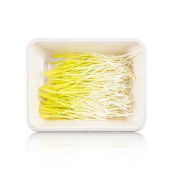 vollgepackt Microgreens Mais, ganz junge Blätter / Keimlinge, 50 g