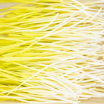 vollgepackt Microgreens Mais, ganz junge Blätter / Keimlinge, 50 g