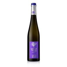 2019er Ungesteiner Herrenberg Riesling, trocken, 14% vol., Weingut am Nil, 750 ml