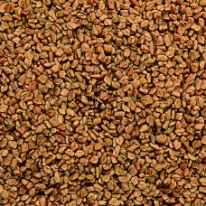 Bockshornkleesamen (Fenugreek Methi Seeds), vor Gebrauch rösten!, BIO , 1 kg