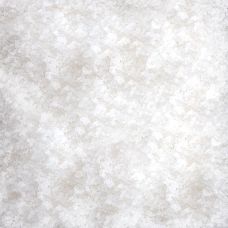 Marisol® Sal Tradicional Meersalz, fein, weiß, feucht, CERTIPLANET, BIO, 25 kg