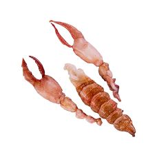 Bretonisches Hummerfleisch, roh, aus Schwanz + 2 Scheren, groß, TK, Rougie, ca.200 g