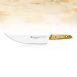 VIVUM BBQ Messer Asador, Fleischmesser, mit Holzgriff, 22cm, DICK, 1 St