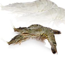 Black Tiger Garnelen, mit Kopf, mit Schale, ca. 13-15 Stück, Gourmaitre, TK, 1 kg