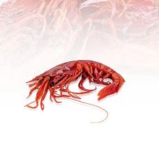 Tiefseegarnele Carabiniero 0, Wildfang, ca.1.000 g