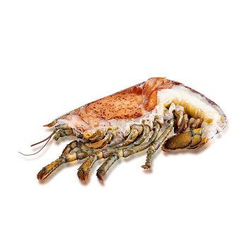 Kanadischer Hummer HPL, Hälfte in Schale, TK (Split Lobster Chix), 150 g