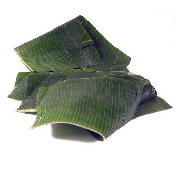 Bananenblätter, ganze Blätter, gefaltet, frisch, 1 kg, ca.9 St