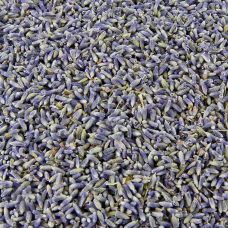 Lavendel, getrocknet, 1 kg