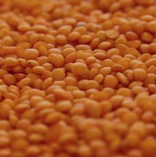 Linsen, rot, BIO, 1 kg