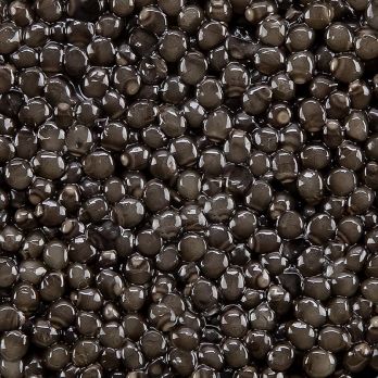 Desietra Beluga Kaviar Malossol vom Hausen (huso huso), Aquakultur Deutschland, 250 g