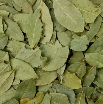 Gewürzgarten Lorbeerblätter, getrocknet, 15 g