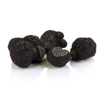 Winter-Edeltrüffel - tuber melanosporum 1. Wahl, groß, Australien, Juni/August, per Gramm