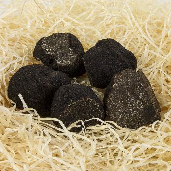 Winter-Edeltrüffel - tuber melanosporum 2. Wahl, groß, Australien, Juni/August, per Gramm