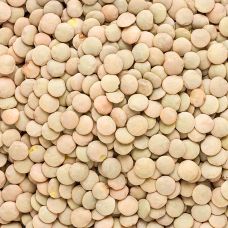 Linsen, grün, Laird, BIO, 1 kg