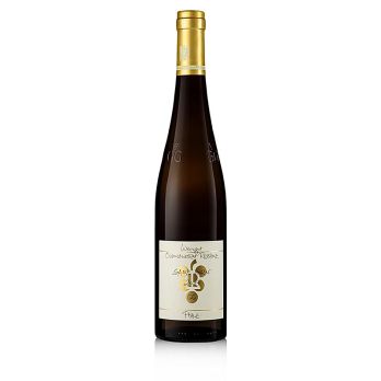 2019er Ganz Horn Riesling GG, trocken, 12,5 % vol., Rebholz, BIO, 750 ml