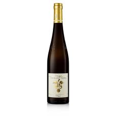 2019er Ganz Horn Riesling GG, trocken, 12,5 % vol., Rebholz, BIO, 750 ml