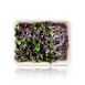 vollgepackt Microgreens Radieschen Rot, ganz junge Blätter / Keimlinge, 100 g