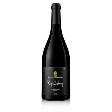 2018er Kapellenberg Frühburgunder, trocken, 13% vol., Disibodenberg, 750 ml