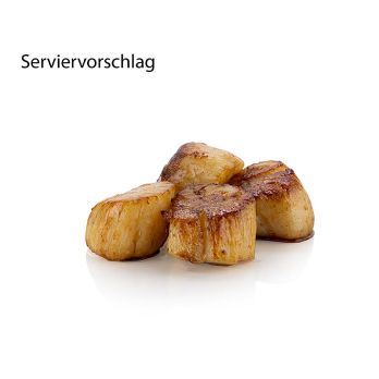 Französische Jakobsmuscheln, klein, ohne Rogen, Rougie, TK, ca.1.000 g, 48 St