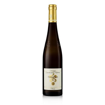 2022er Kastanienbusch Riesling GG, trocken, 12,5 % vol., Rebholz, BIO, 750 ml