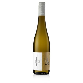 2023er Element Riesling QW, trocken, 13,5 % vol., Alois Kiefer, 750 ml