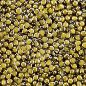 BOS FOOD Premium Selection - Ossetra (gueldenstaedtii), Aquakultur, ohne Konservierungsmittel, 125 g