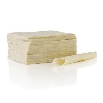 Wan Tan Teig-Blätter, dünn, 9x9cm, TK, 500 g, ca.75 St