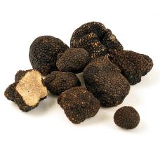 Sommertrüffel - tuber aestivum/uncinatum, Frankreich, Mai/November, per Gramm