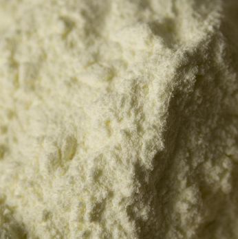 Vollmilchpulver - lait entier poudre, mind. 26% Fett, 1 kg