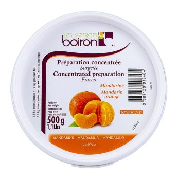 Konzentrat - Mandarinensaft, TK, 500 g
