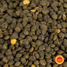 Linsen, grün - Lentilles du Puy, traditioneller Anbau, g.U., Frankreich, 5 kg