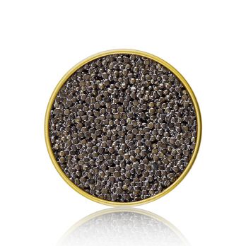 BOS FOOD Premium Selection Kaviar vom sibirischen Stör (Acipenser baerii), Aquakultur China, 250 g