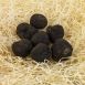 Winter-Edeltrüffel EXTRA- tuber melanosporum, kleine Knollen, Australien, Juni/August, per Gramm